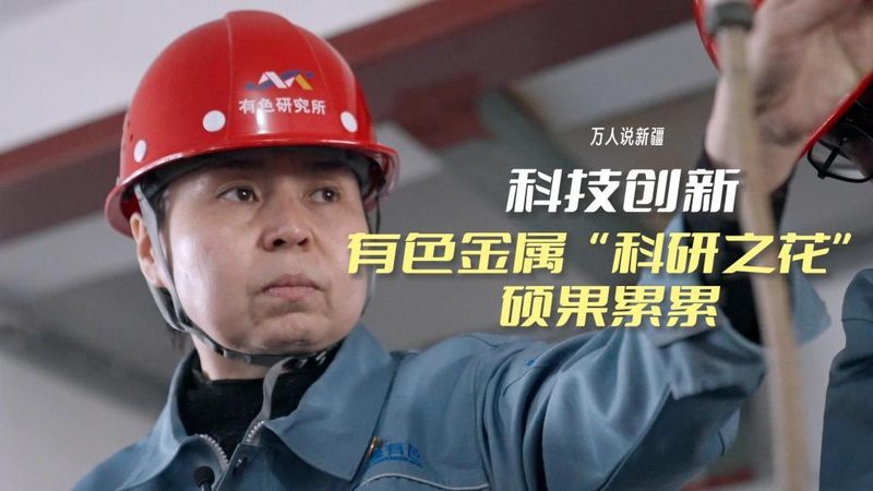 企业数字化管理平台：如何选择最适合的解决方案**